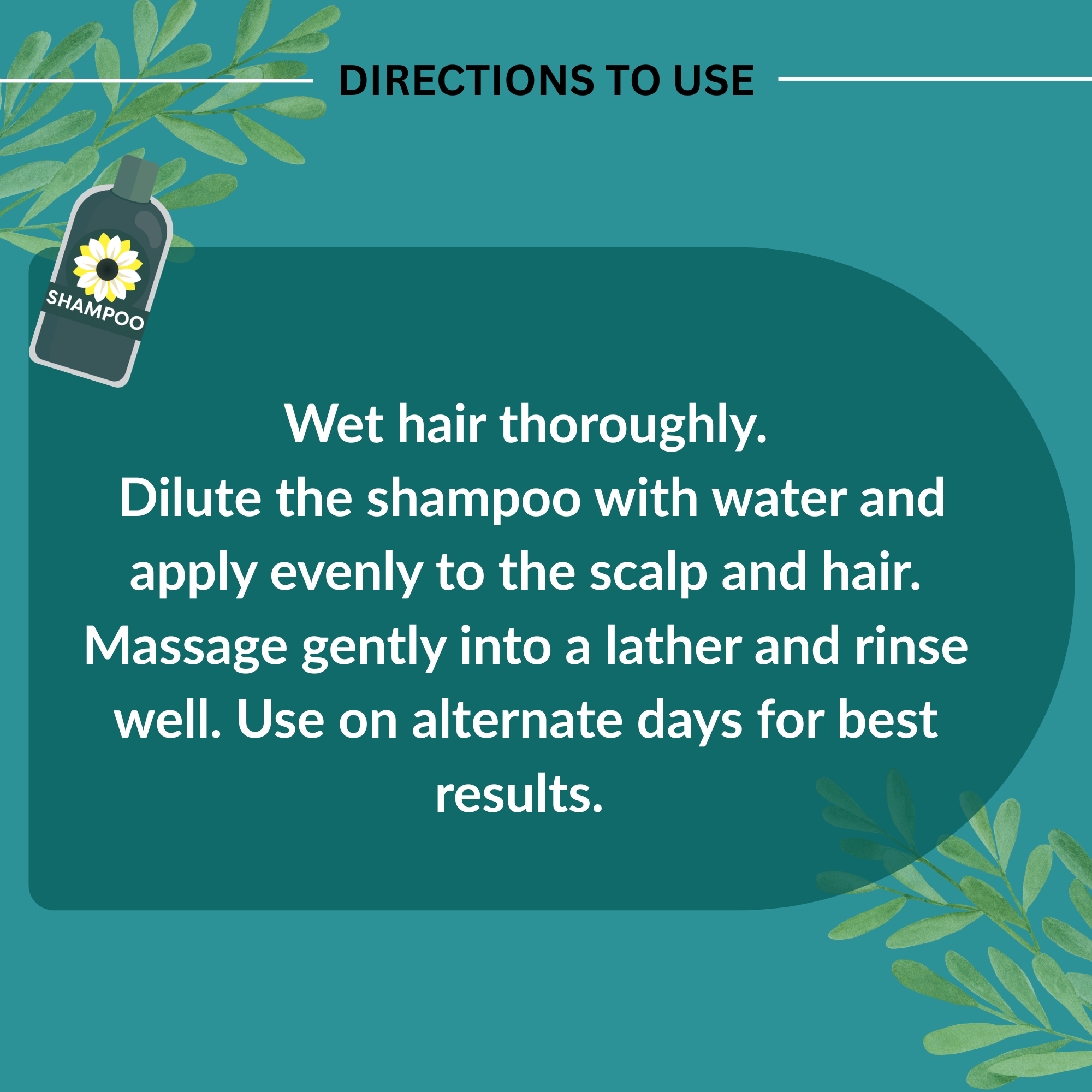 Willow Bark Anti-Dandruff Shampoo