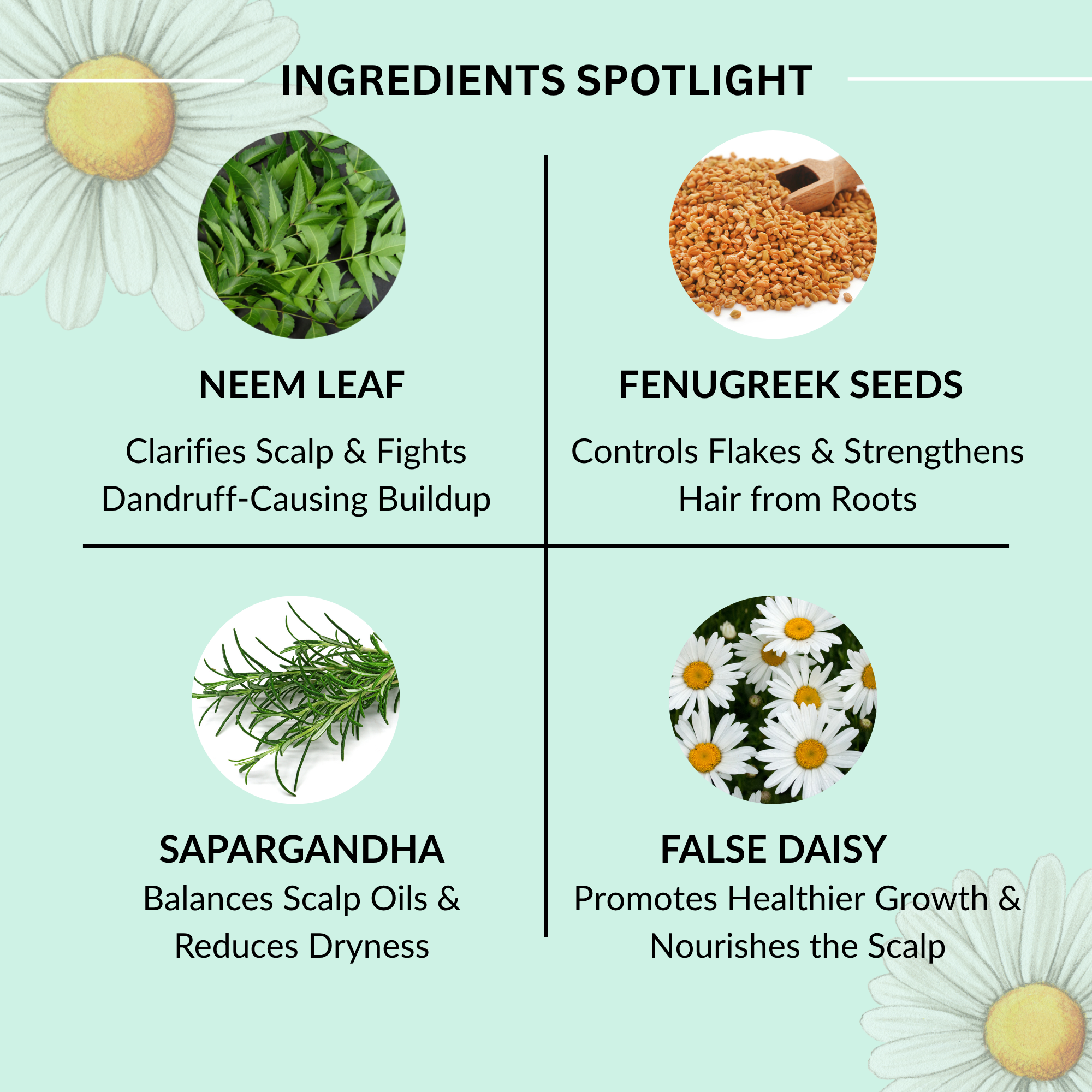 Thuja Dandruff Defence - Microbiome Balance Serum